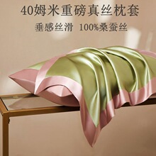 40姆米100%重磅真丝枕套桑蚕丝夏季丝绸美容单人冰丝枕头套一对装