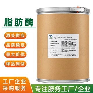 脂肪酶 烘焙面团改良奶酪乳制品增香油脂水解原料 现货批发