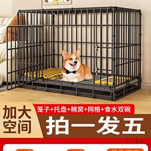 ���\���д�С��Ȯ�����҃����ۯB���бP�������̩�ϱ��܌��ù��C