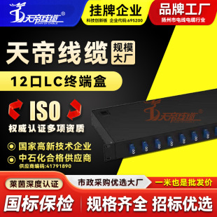 Factory Direct Sales Tiandi 12-Port Sc/Fc/St/Lc 24-Core Rack-Type Fiber Optic Wiring Rack Optical Cable Fiber Fiber Box