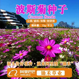 种子;其他园林资材;植保机械