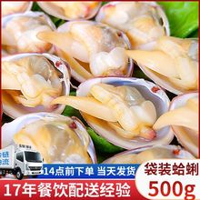 批发海鲜水产蛤蜊500g袋装冷冻真空花蛤花甲贝类海鲜黄蚬子