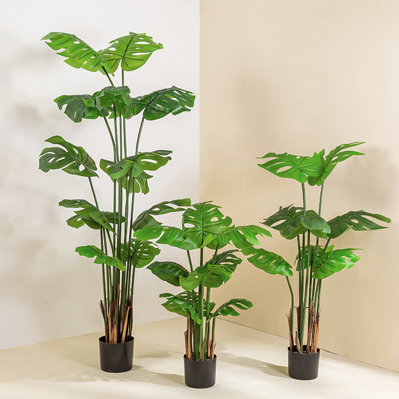 Simulación de estilo nórdico, plantas verdes, monstera, plantas en macetas, sala de estar grande, decoración de bonsai de interior, plantas de tortuga