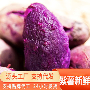 Դ�^һ�����l�������r�����t�������ع��������ğ��������r���ԷN