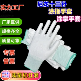 通用手套;其他手部防护;一次防护手套