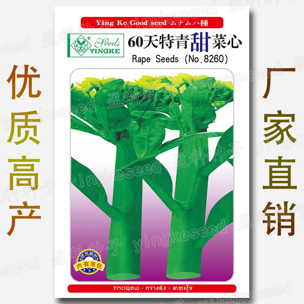 约5000粒甜菜心种子 60天 特青菜心种籽 四季 粗条 蔬菜种子批发