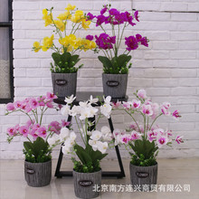 �ָ�ܛ�z�����m���滨�҃ȼҾӔ[�O�����[���͏d���ϲ廨�������l