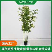 �羳����������������й����쾰�Ƶ���ҷ������ֲ�����辰����