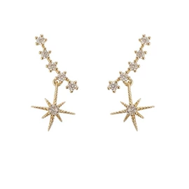 耳钉;项链;耳环