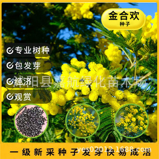 ��Ϛg�N���R�t���q����N���y�G�}�Q�N�Ӱ��ް�ɫ��̾G�h��Ϛg