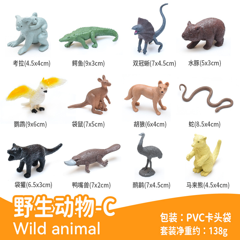 12 3 인치 솔리드 호주 동물 C (PVC 카드 가방)