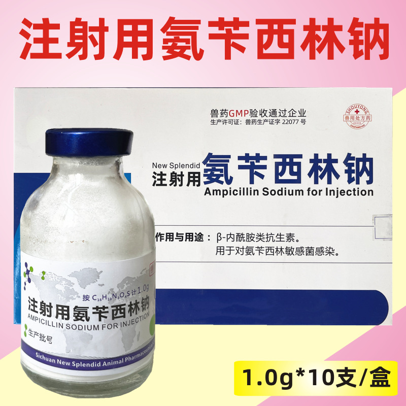 兽药注射用氨苄西林钠粉针兽用母猪牛羊产后消炎链球菌抗菌消炎药