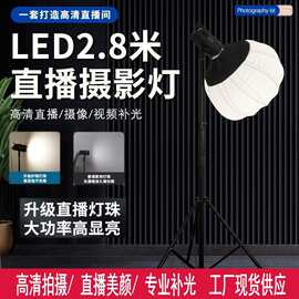 专业直播美颜补光灯直播间氛围灯LED双色温遥控摄影棚拍照补光灯
