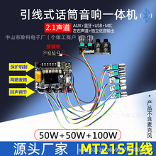 引线式功放板带话筒音响线控一体机音箱usb蓝牙模块双声道K歌设备