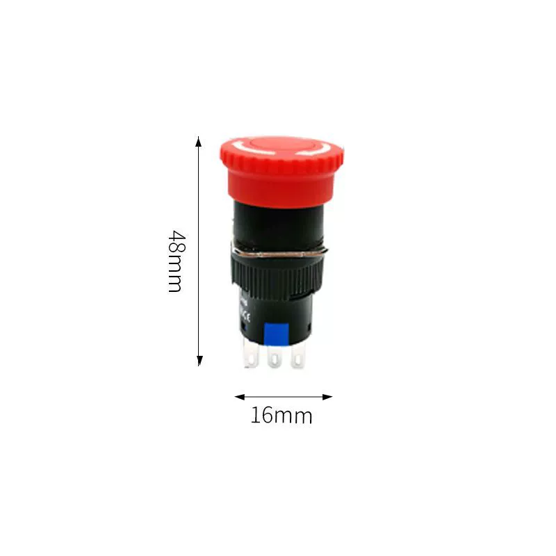 Switch key with clove mushrooms, button, 38, 22mm, switch box