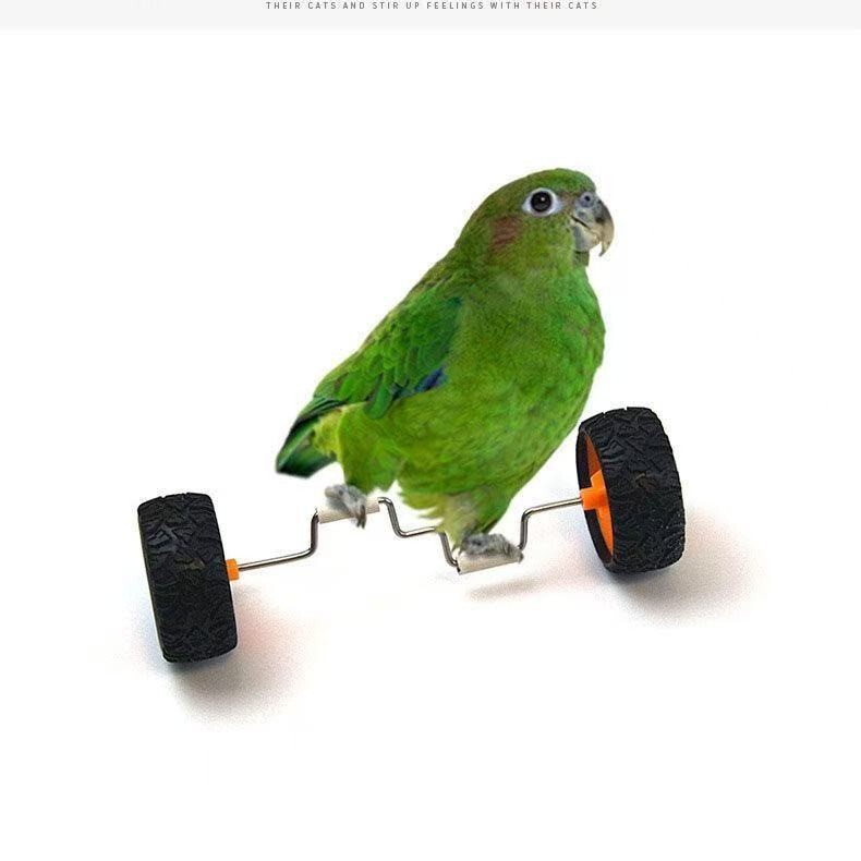 Parrot Toys for Entertainment, Balance Bikes, Small and Medium-Sized Bird Supplies, Roller Skates, Skill Training Props, Cockatiel Toys Parrot Toys for Entertainment, Balance Bikes, Small and Medium-Sized Bird Supplies, Roller Skates, Skill Training Props, Cockatiel Toys