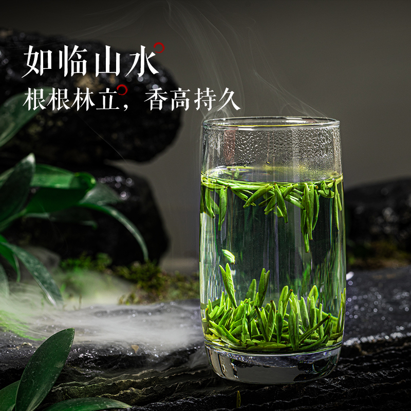 2024雀舌新茶叶绿茶明前高山竹叶毛尖毛峰茶散装250g