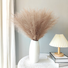 ���JȔ��Ȕ�ٻ�����˹���b����JȔ�ɻ����l�JȔ��E18