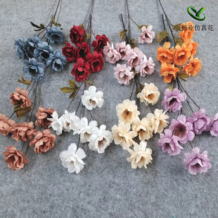 �S�����l���滨6�^�d�ӻ��yɏѩ�q�� ��c���Ļ�Y�þ껨�ٻ����l