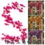 三角梅婚礼跨境花园藤条
