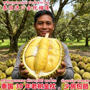 ����̩���M�ڽ�����ɏ���rˮ��10�ﮔ���Ꭷ������ɏ��S�������l