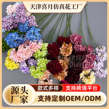 �羳5�^�ǹ�������滨��֦���潑��ľ���� ��c�Ĕz���߽����S