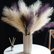 ���WINS�W�t���JȔ�ٻ��p�ݼҾ��b�����ƿ�[��ë�q����r^