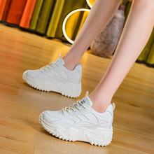 �����������ļ�ŮЬ�¿����¸��ɸ�����߸����e�\�Ӷ����ϵ�Ь