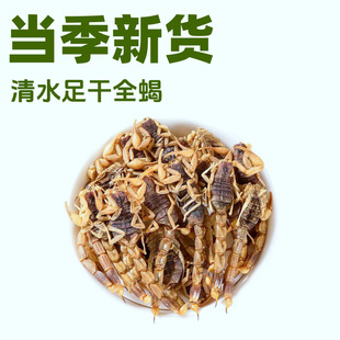 ������؛��ș����ˮȫϐϐ�����ȫ�x�Qϐ��ϐ�}ϐ��ȫϐ�|���Qϐ