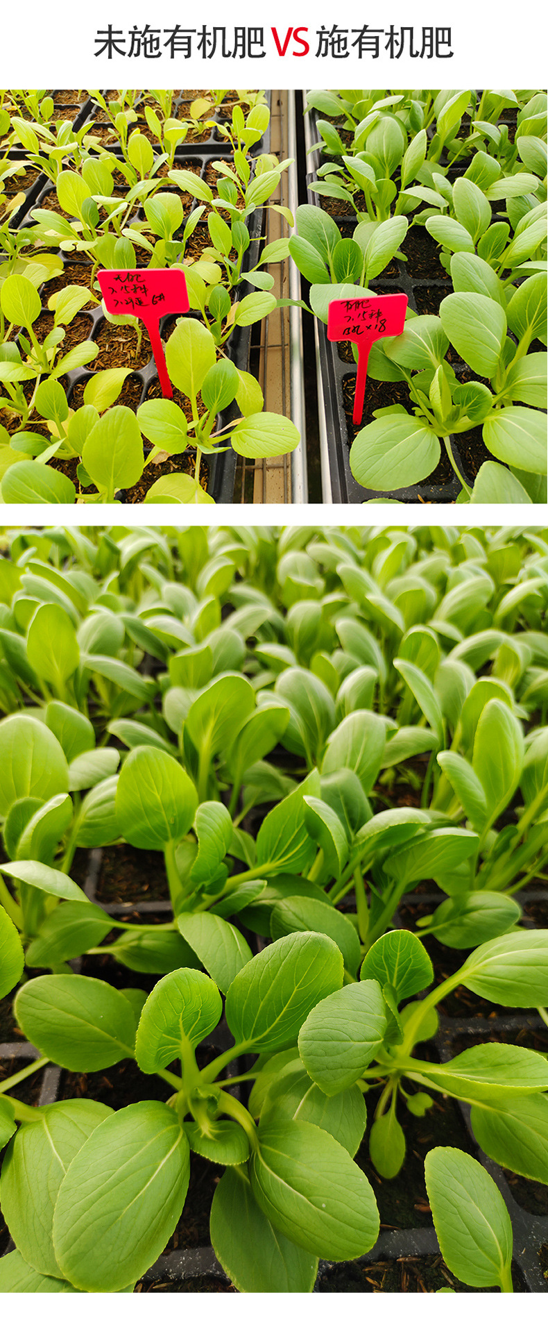 有机肥_10.jpg