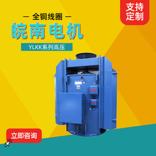 安 徽皖南电机YLKK系列全铜线圈高压三相异步电动机经销商