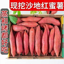10斤西瓜红蜜薯地瓜红薯新鲜2斤西瓜红番薯板栗沙地红薯批发
