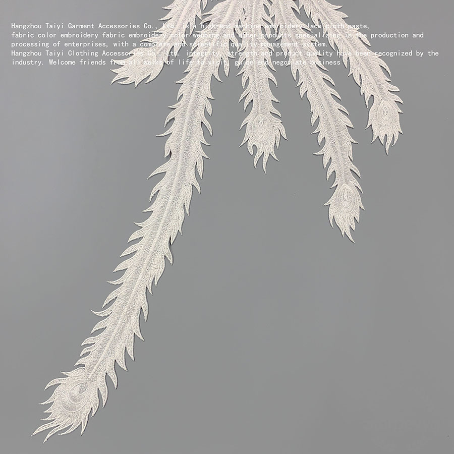 IMG_2068(20230416-132938)jpgjp