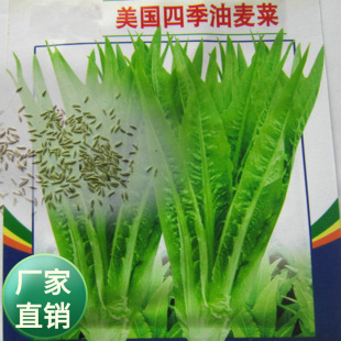 ���l��ͥ�̨�߲˷N�������ļ������˷N�ӹ��߈@ˇ�ˈ@���󰴽�