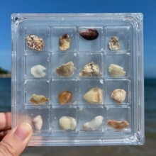 16͸ؐռ{к߅ʯ^˱ռչʾ