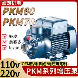 外贸pkm60旋涡泵非洲苏丹220v110v意大利DAB管道增压泵water pump