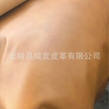���ݹ�����֦�y�^��ţƤ�m��춸��N�b���Ƥ�����ţƤЬ��Ь���