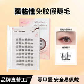 免胶狐系假睫毛太阳花婴儿弯自然山茶花眼睫毛跨境直销工厂送镊子