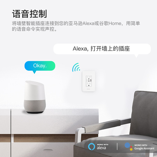 Tuya WiFi smart home wall socket app timing voice control USB+typec dual hole smart socket