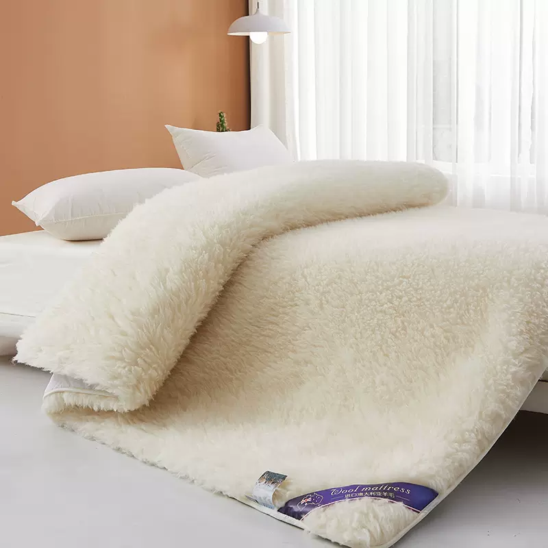 羊毛床垫软垫冬季羊羔绒床褥子垫被加厚垫褥家用单人冬天保暖垫子