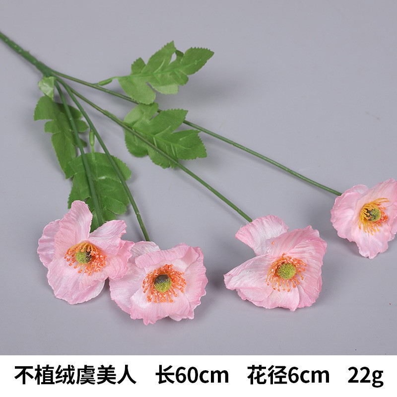 몰려 들지 않음-핑크