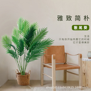 �羳��ˇ����Gֲ�����ؙ���ɢβ���٘��F���~��ֲ���҃ȿ͏d����