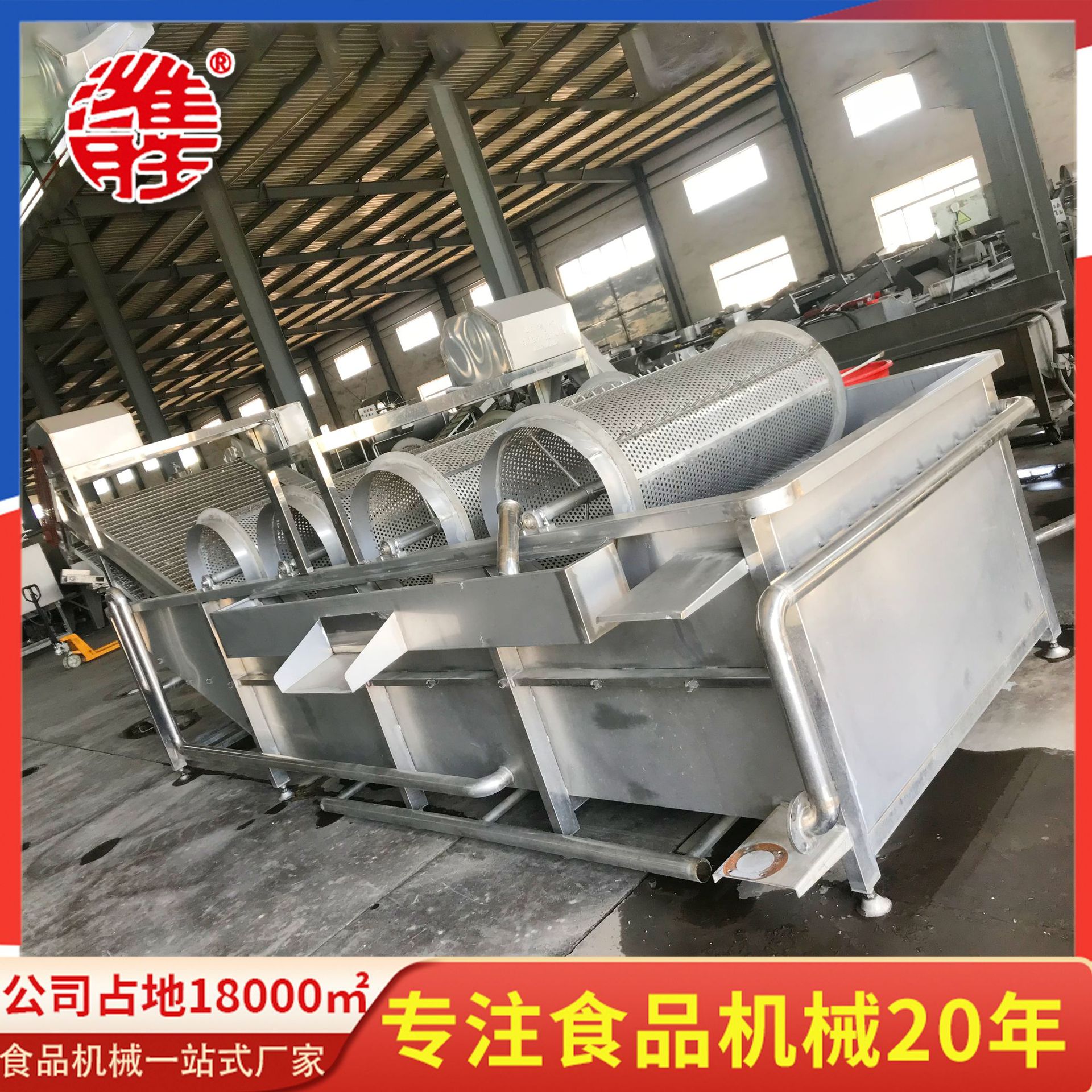 商用全自动豆芽清洗机设备 绿豆芽清洗机设备 芽类去皮清洗机设备