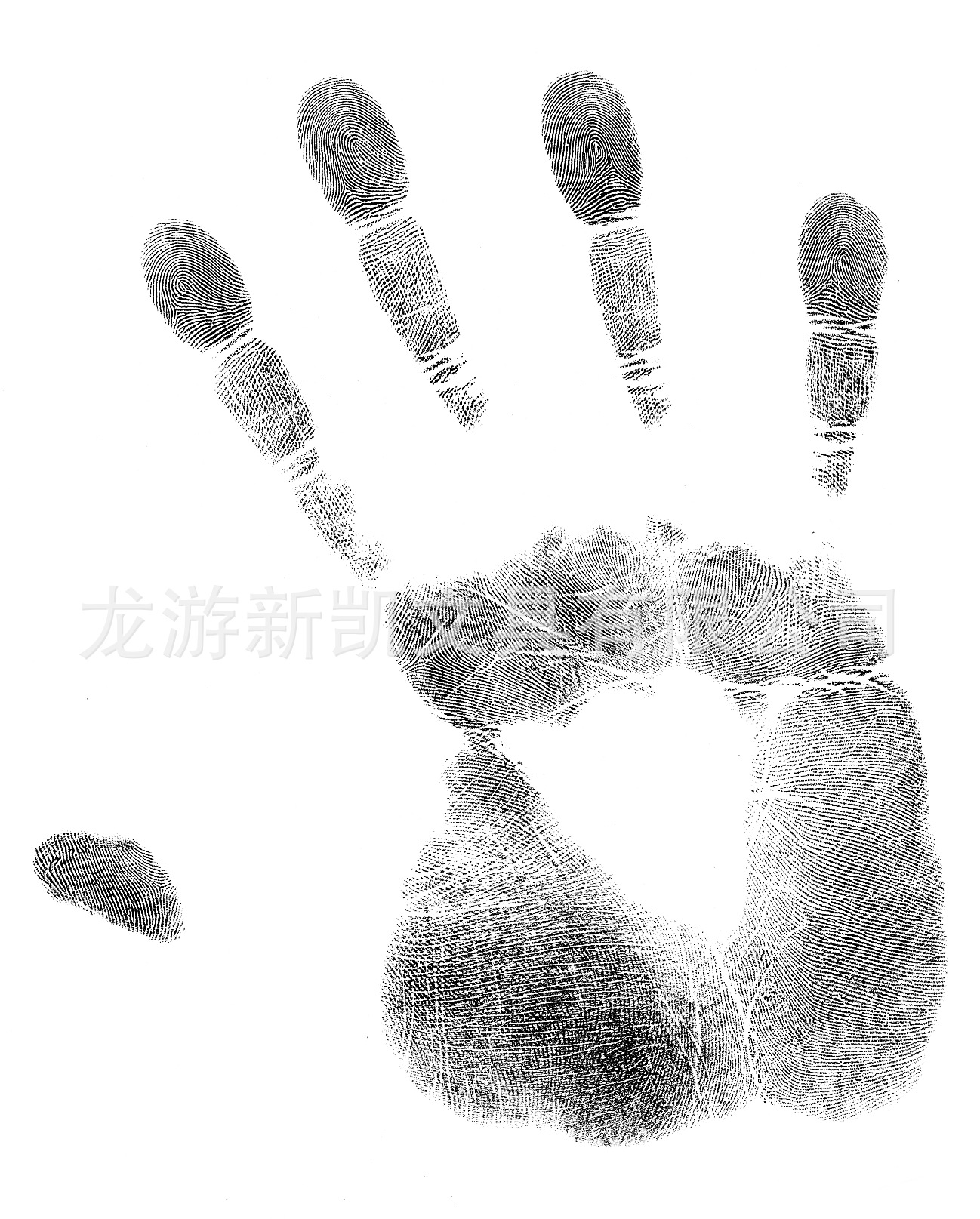手掌印_图查查