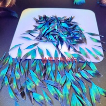 �c����ϰl�����h�P����ᘶ�����̥�׷��z�c����ë�c��l�A