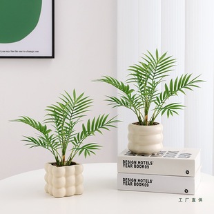 ֲﱱWbСkҿ͏d҃辰[ٻGֲ