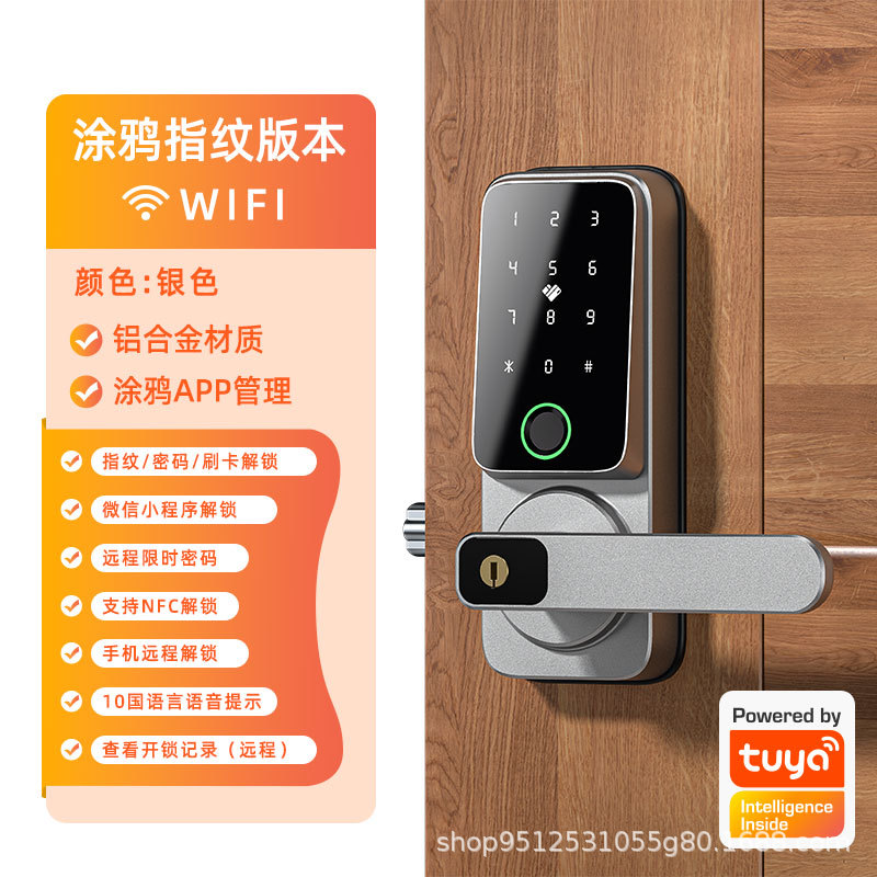 【TUYA】+지문+실버