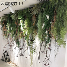 ����Gֲ�ڒ촹���ٗl�Gɫֲ����m��˹ާ��ڹܵ�����T�^�b�