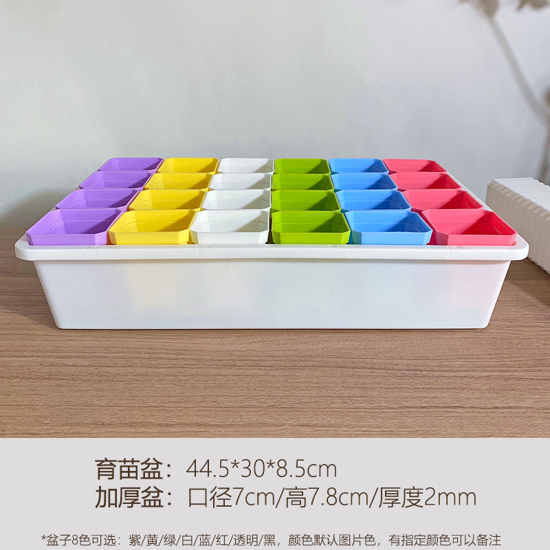 플라스틱 - 두꺼운 색상의 7구 화분 24개 + 흰색 모종 화분 + 칸막이, 담그거나 배수할 수 있음 - 환경 친화적인 플라스틱