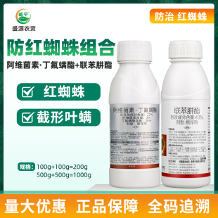 22%���S���ض����\��43%���������٘�t֩���~�\���x���\���rș